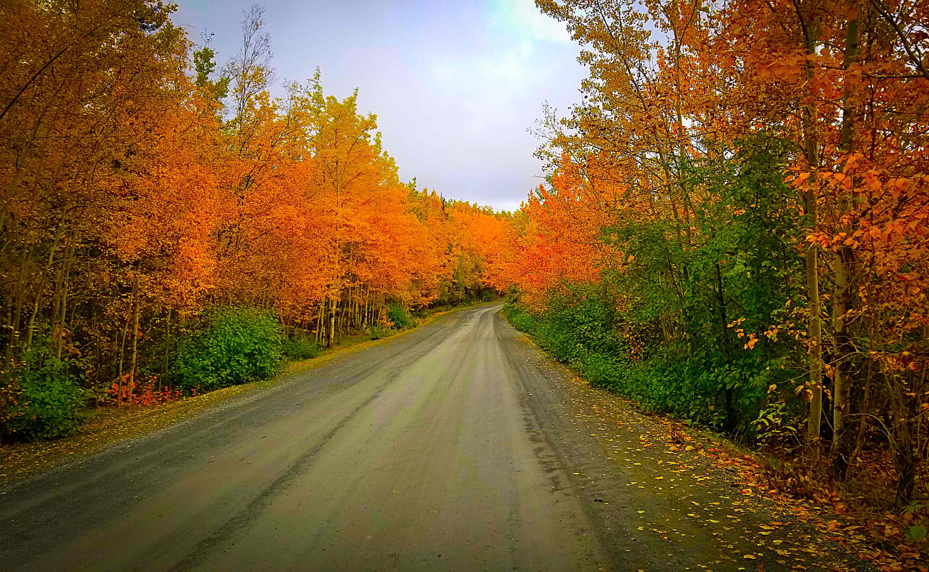 fall colors road retouched